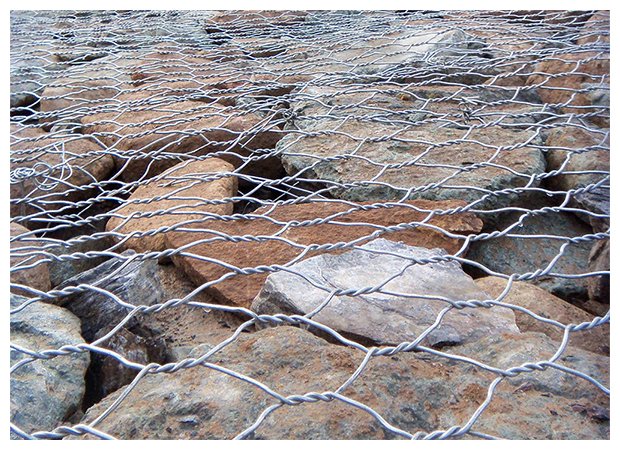 品牌實力,多年耕耘 · 實力深厚