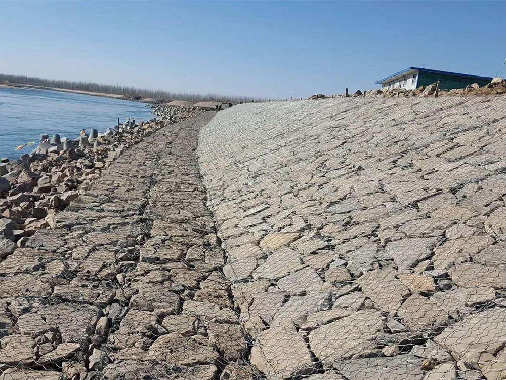 呼和浩特高爾凡雷諾護墊